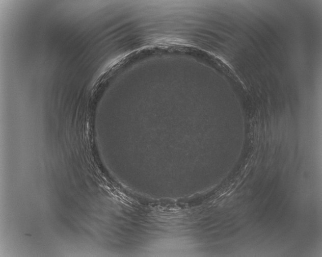 X0000056380919200509091711