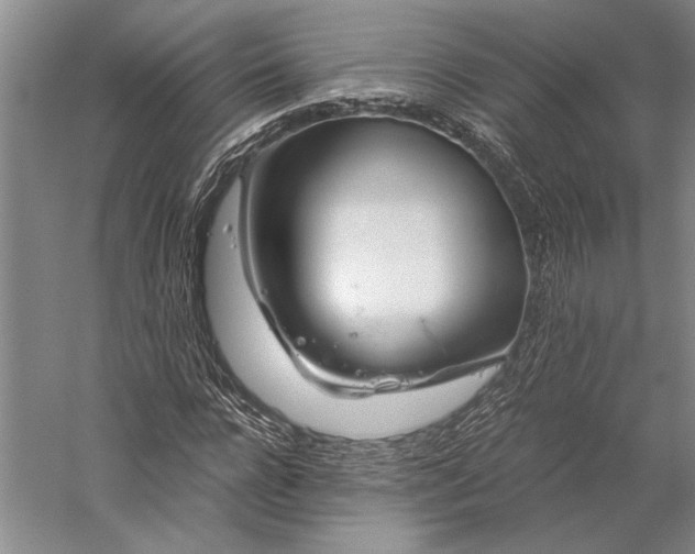 X0000056380920200509091711