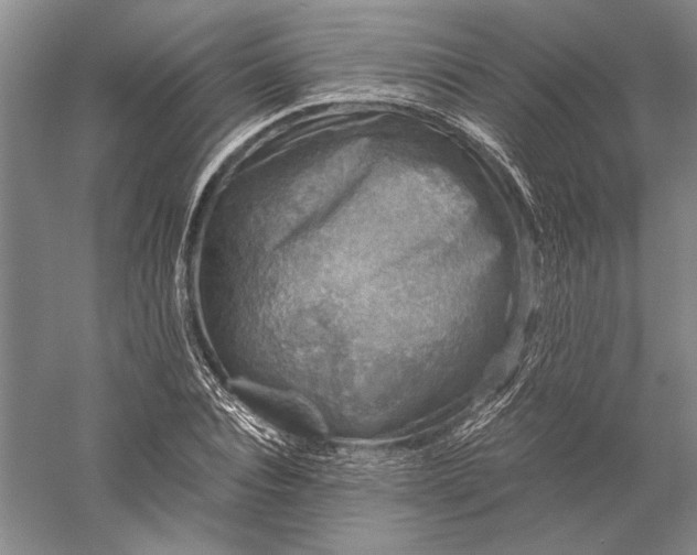 X0000056380928200509091711