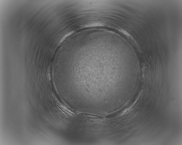 X0000056380929200509091711