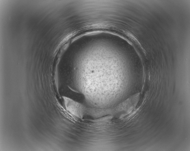 X0000056380930200509091711