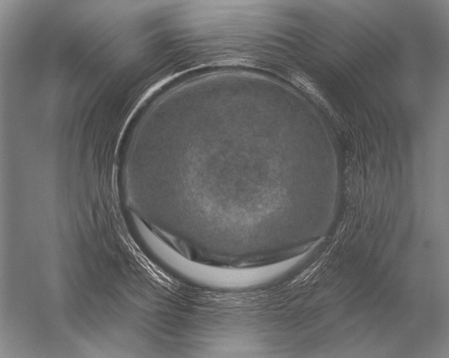 X0000056380932200509091711