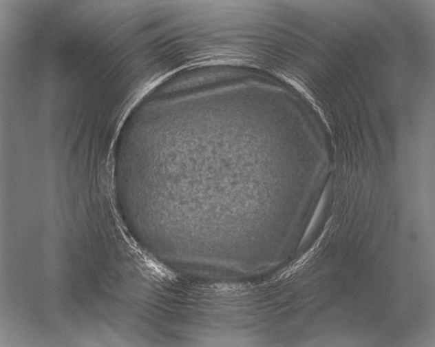 X0000056380933200509091711