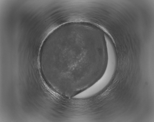 X0000056380935200509091711