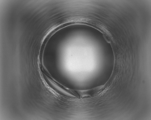 X0000056380936200509091711