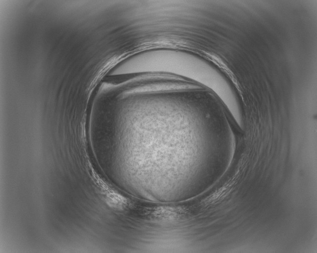 X0000056380938200509091711