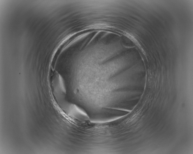 X0000056380939200509091711