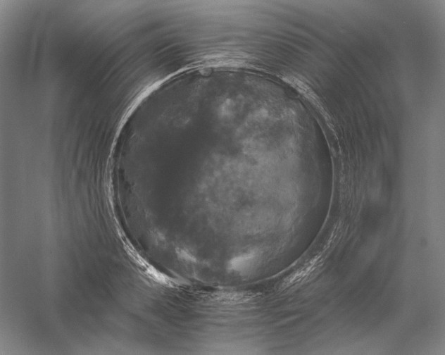 X0000056380941200509091711