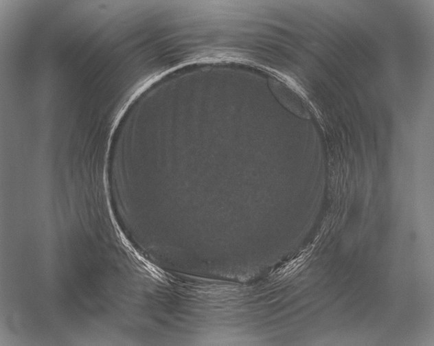 X0000056380943200509091711