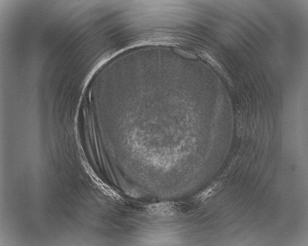 X0000056380944200509091711