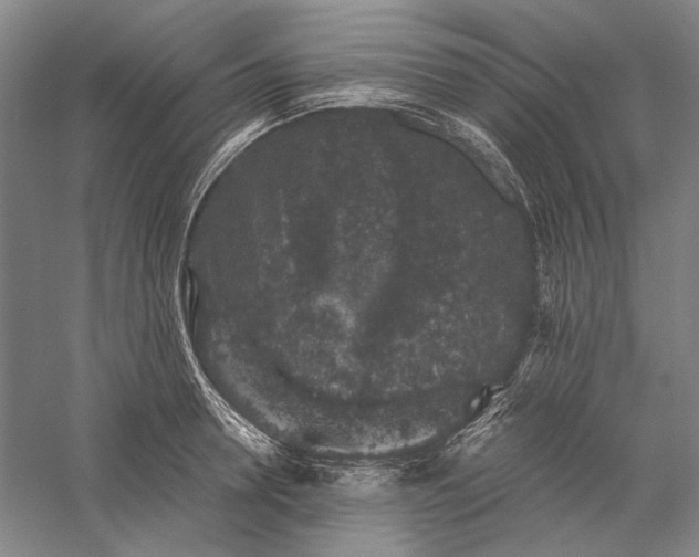 X0000056380946200509091711