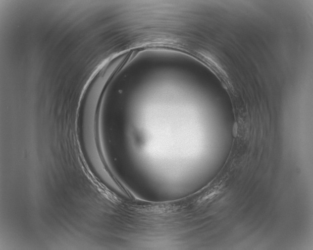 X0000056380948200509091711