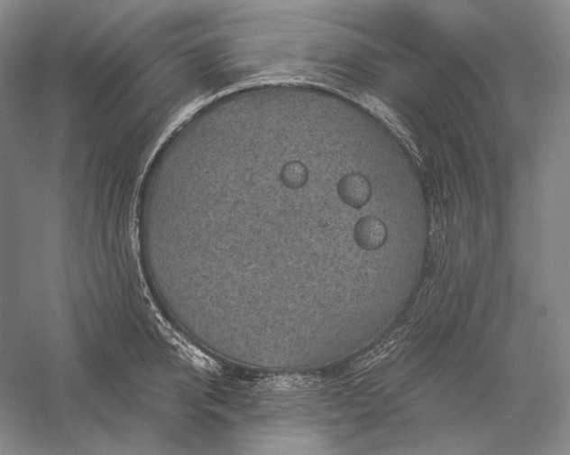 X0000056380950200509091711