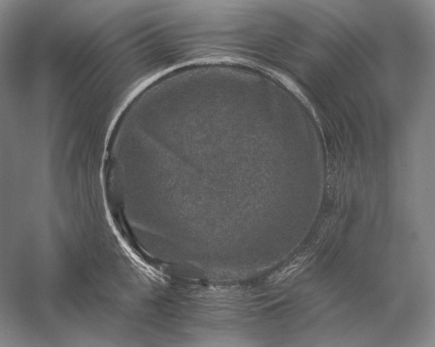 X0000056380951200509091711