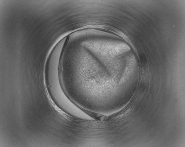 X0000056380955200509091711