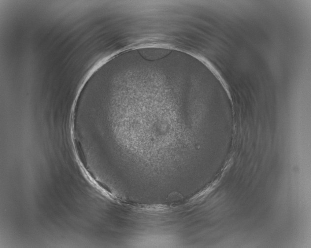 X0000056380957200509091711