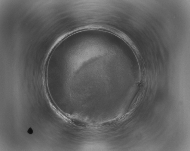 X0000056380958200509091712