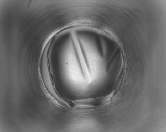 X0000056380960200509091712