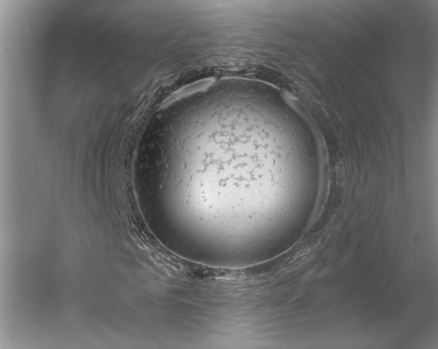 X0000056380961200509091711