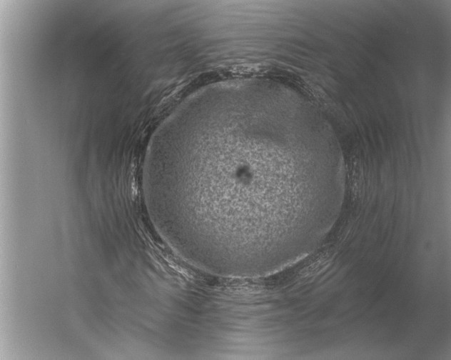 X0000056380962200509091711