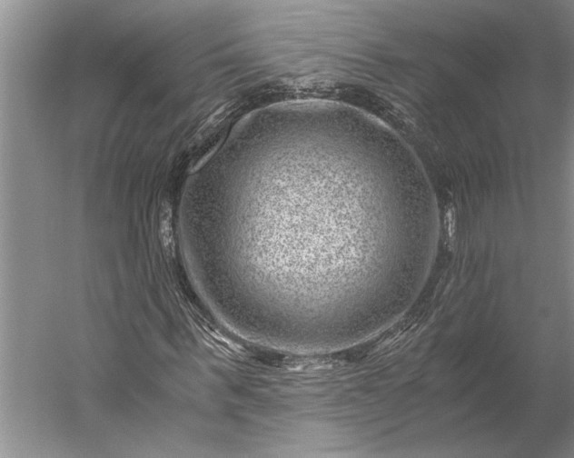 X0000056380963200509091711