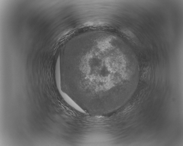 X0000056380966200509091711