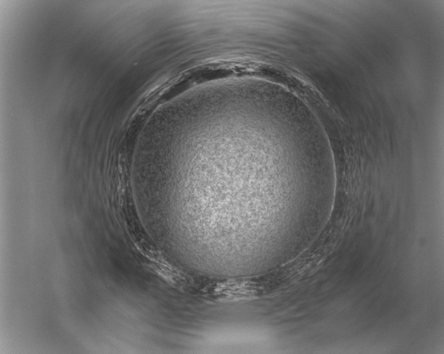 X0000056380967200509091711