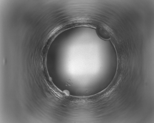 X0000056380970200509091711