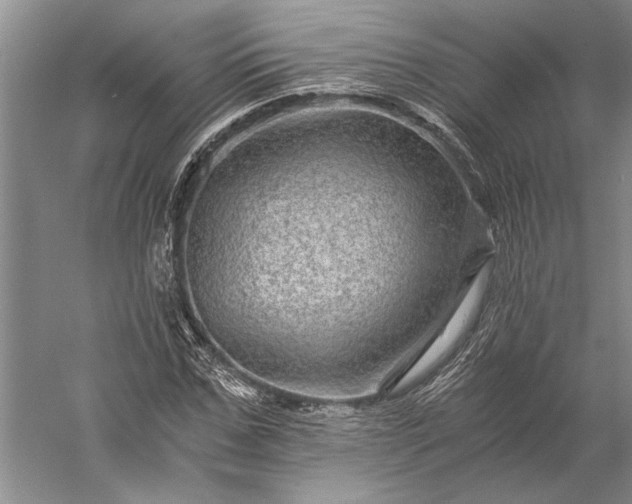 X0000056380971200509091711