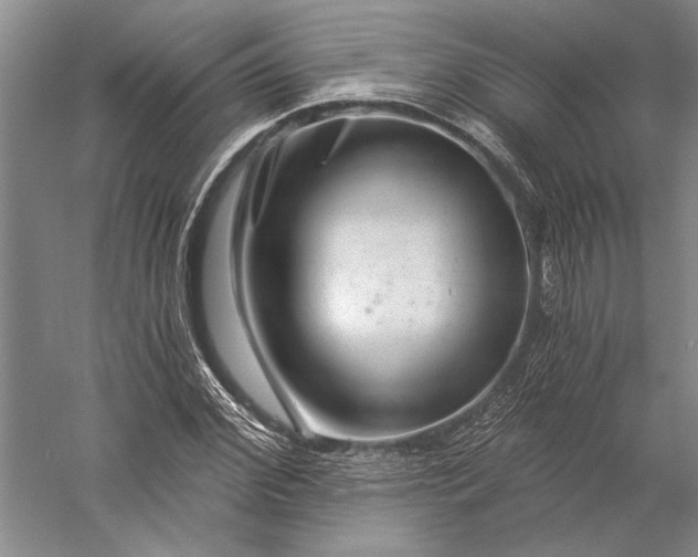 X0000056380972200509091711