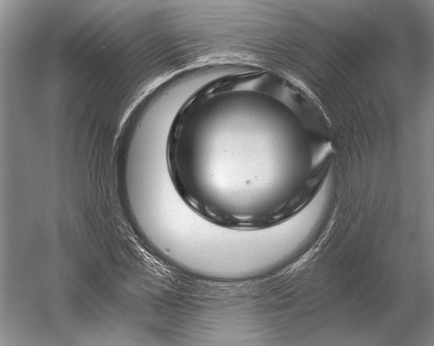 X0000056380973200509091711