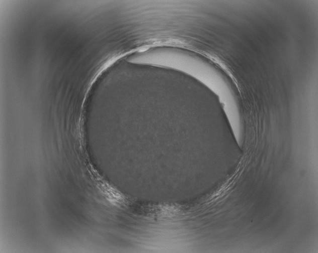 X0000056380975200509091710