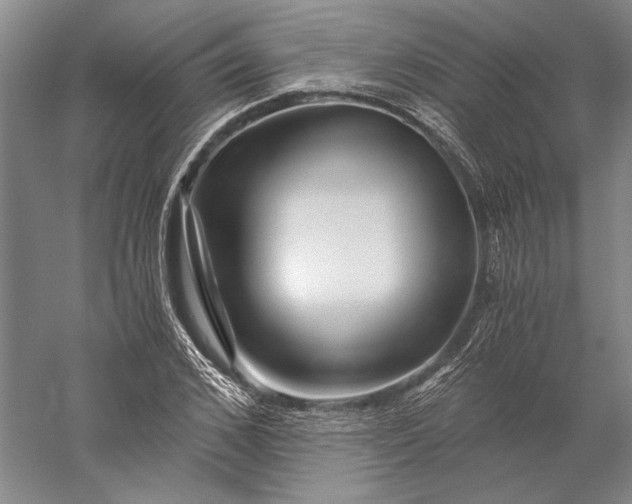 X0000056380976200509091710