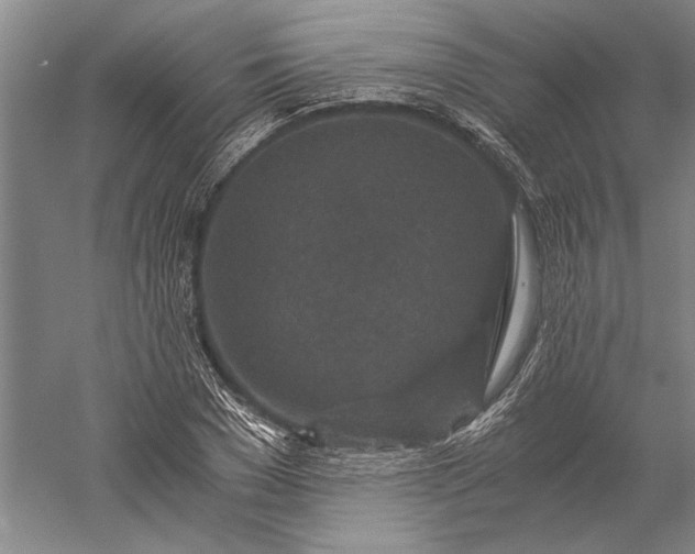 X0000056380977200509091710