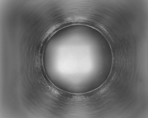 X0000056380978200509091710