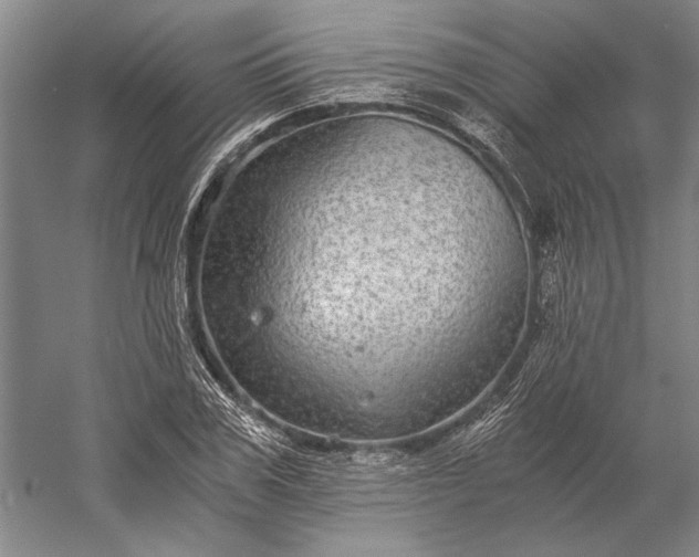 X0000056380979200509091710