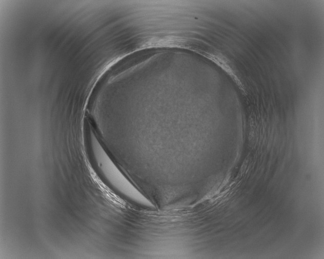 X0000056380980200509091710