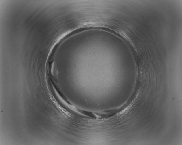 X0000056380981200509091710