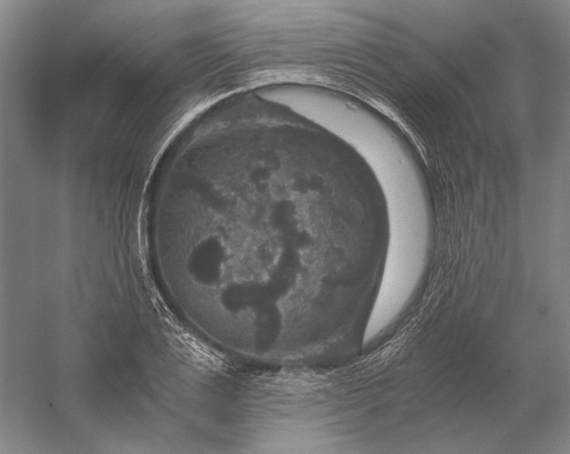 X0000056380983200509091710