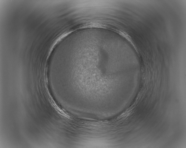 X0000056380987200509091710