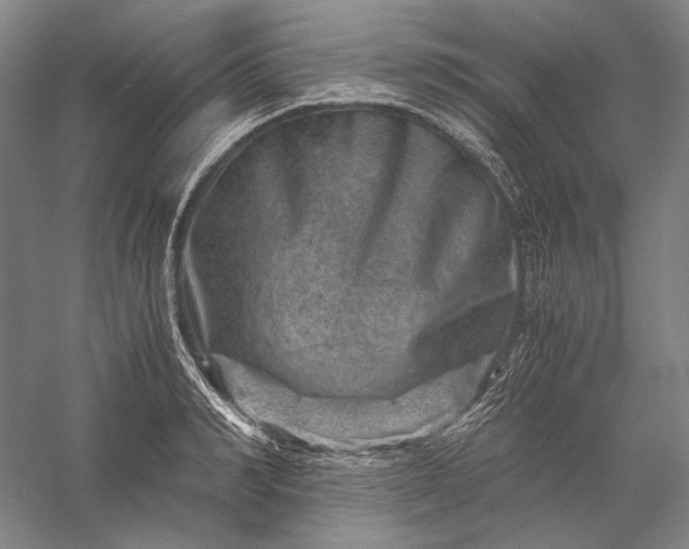 X0000056380990200509091710