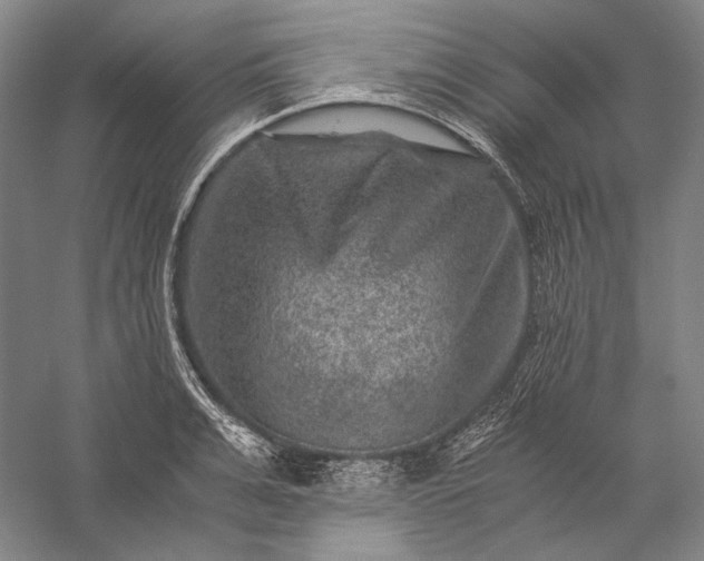 X0000056380991200509091710