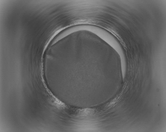 X0000056380992200509091710