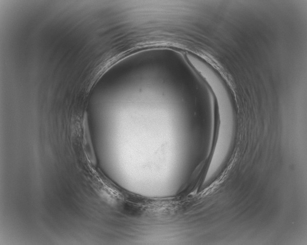 X0000056380993200509091710