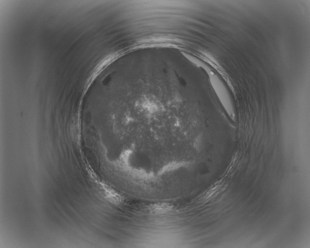 X0000056380994200509091710