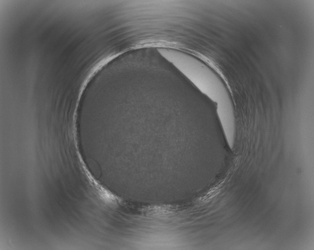 X0000056380995200509091710