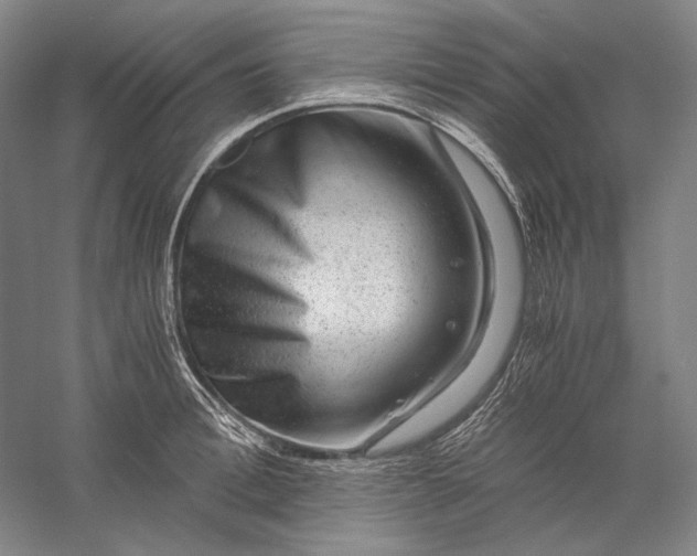 X0000056380996200509091710