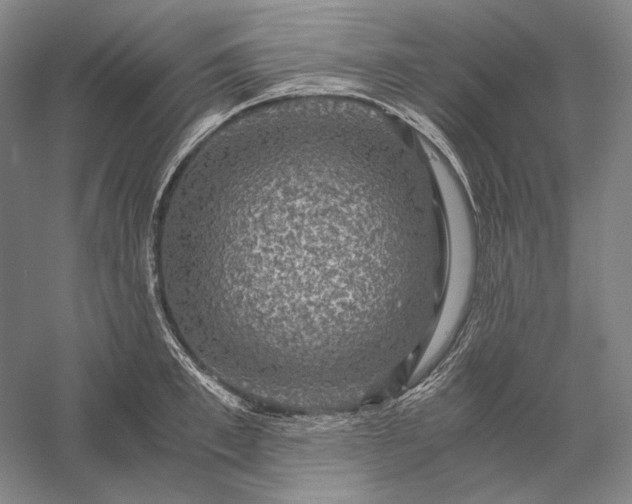 X0000056380997200509091710