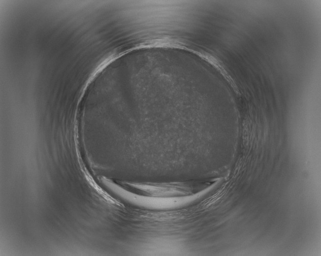 X0000056380998200509091710