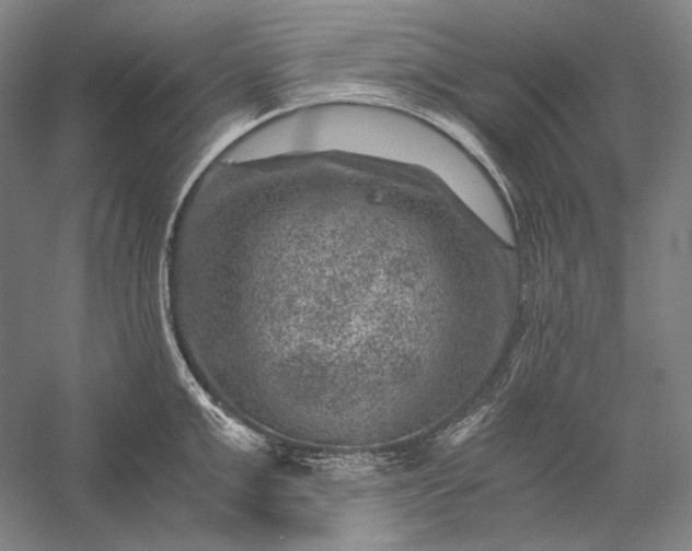 X0000056380999200509091710